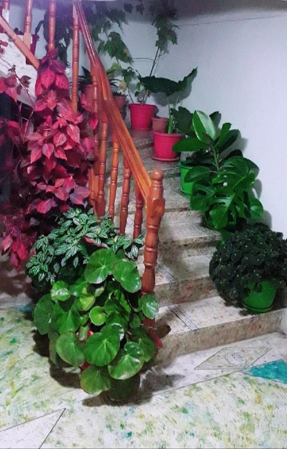 Sokolli Guest House Gjirokastër 외부 사진